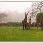 Herbst im Park -Luisenpark, Mannheim 2014