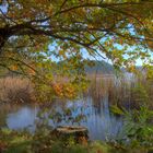 Herbst im Park Morizburg