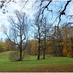 Herbst im Park Muzakowski