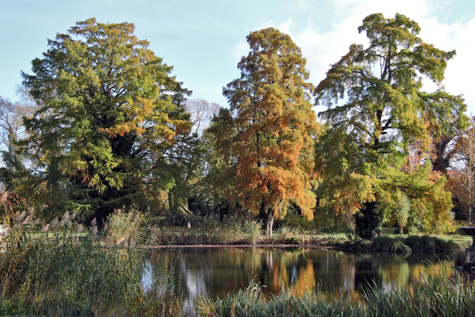 Herbst im Park Sanssouci (01)