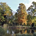 Herbst im Park Sanssouci (01)