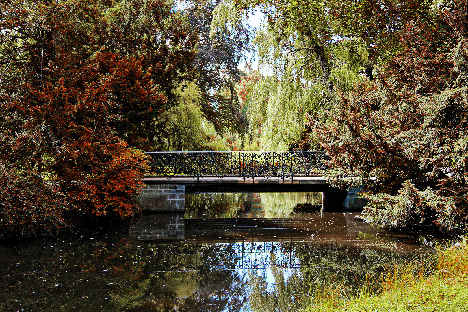 Herbst im Park Sanssouci (03)