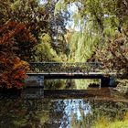 Herbst im Park Sanssouci (03)