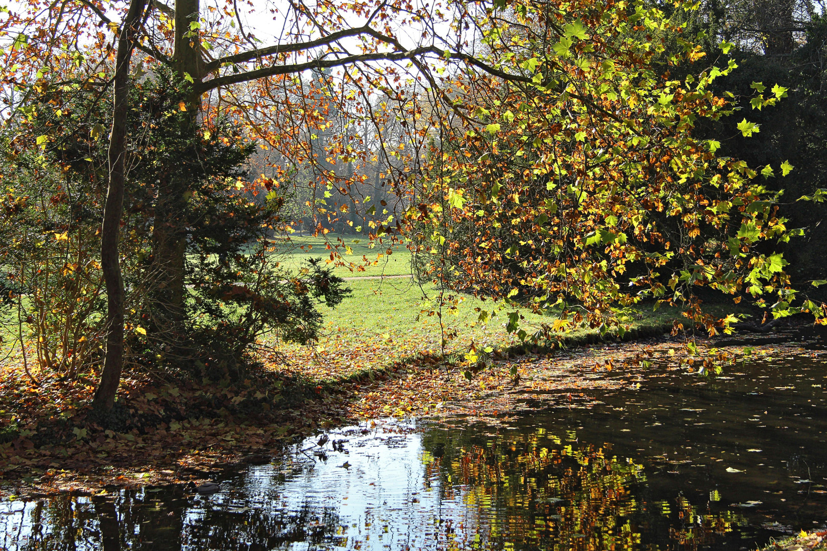 Herbst im Park Sanssouci (05)