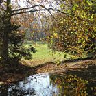 Herbst im Park Sanssouci (05)