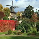 Herbst im Park Sanssouci 