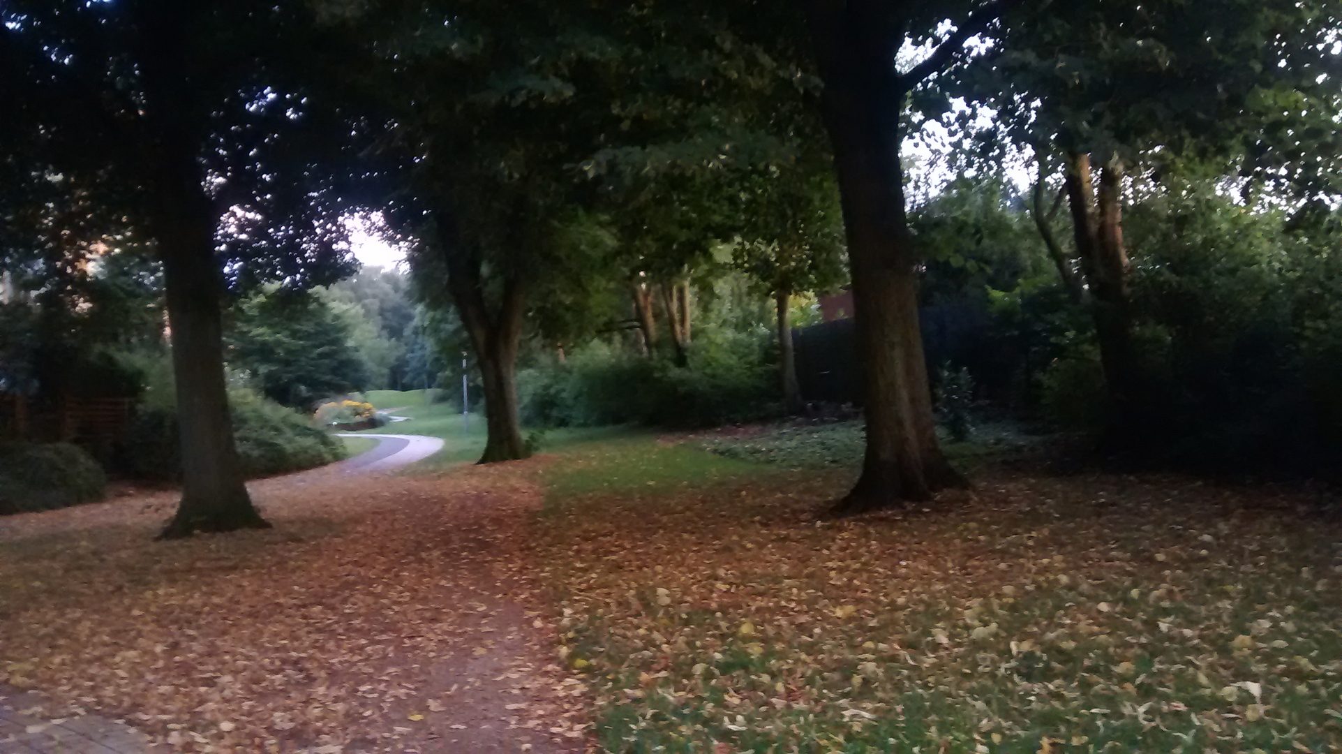 Herbst? im Park unterwegs