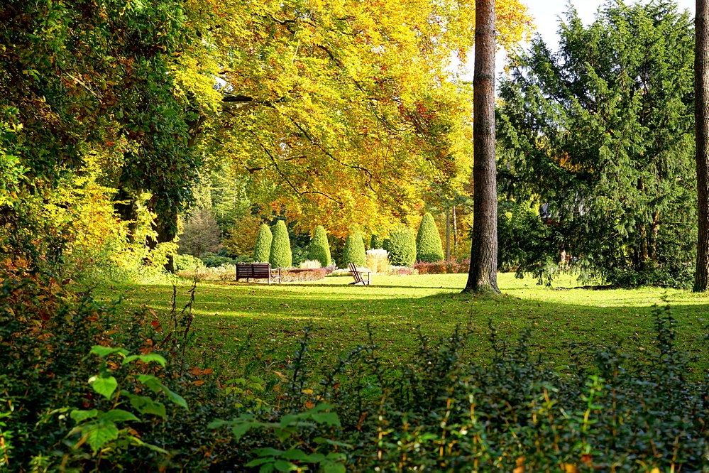 Herbst im Park VI