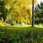 Herbst im Park VI