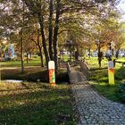 Herbst im Park von Arnbruck