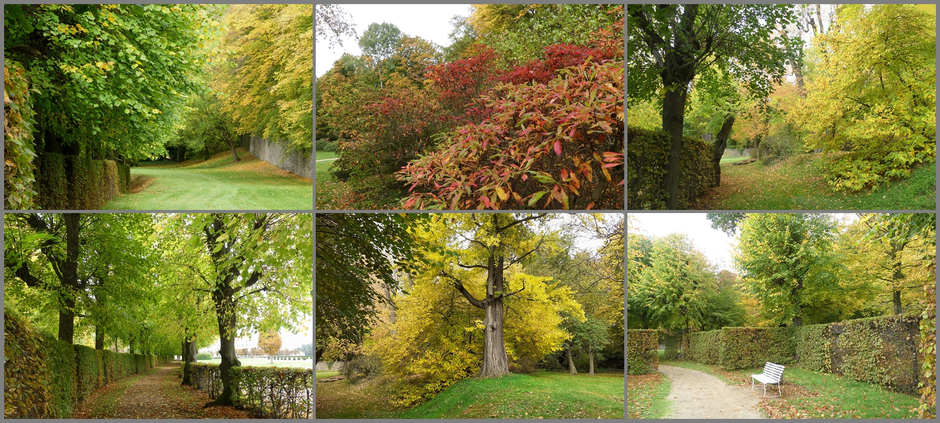 Herbst im Park von Moritzburg