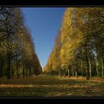 Herbst im Park von Sanssoucci