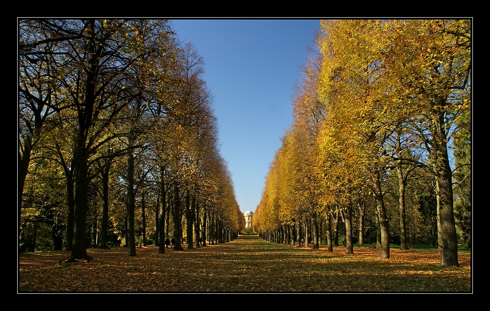 Herbst im Park von Sanssoucci_1