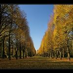 Herbst im Park von Sanssoucci_1