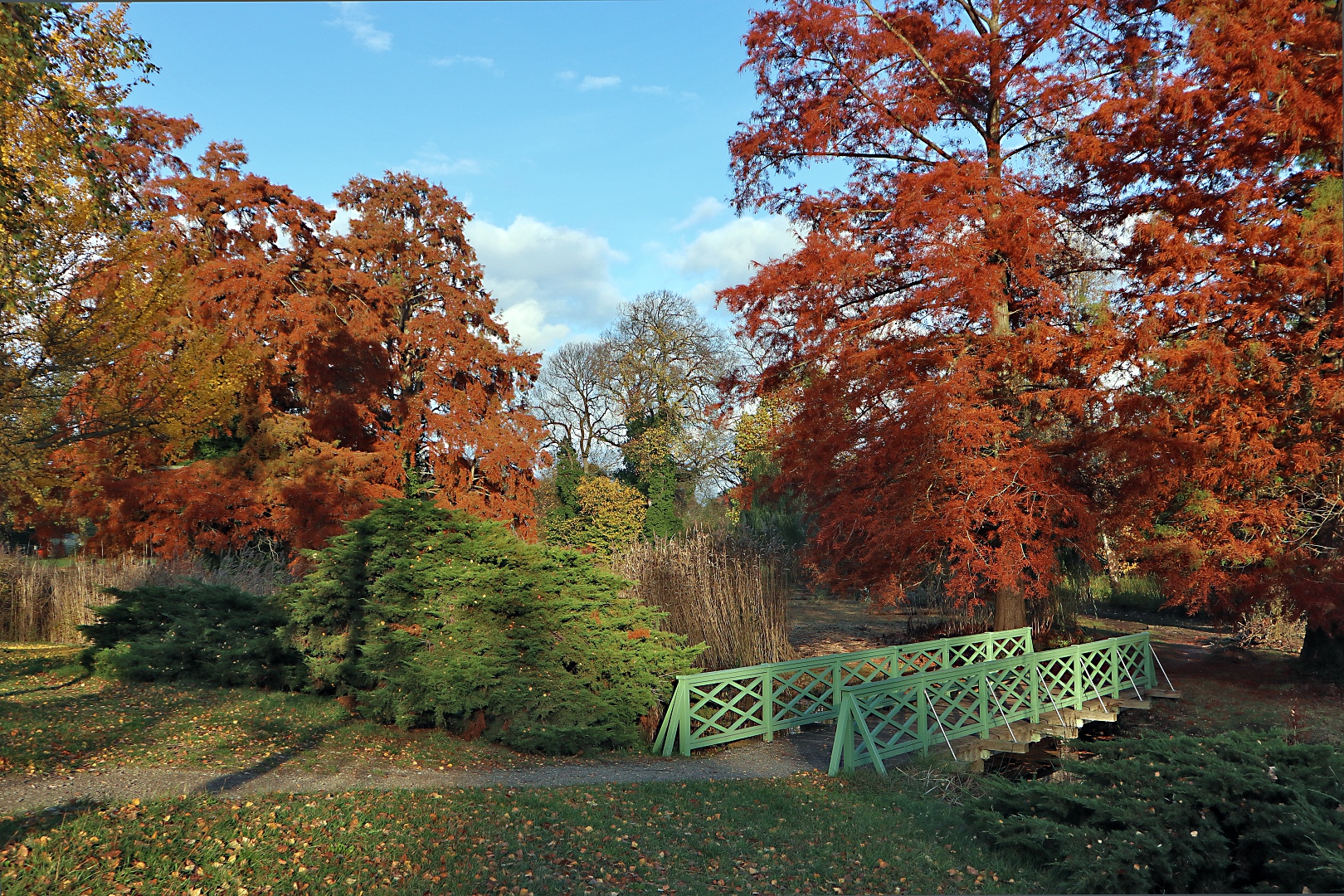 Herbst im Park von Sanssouci 