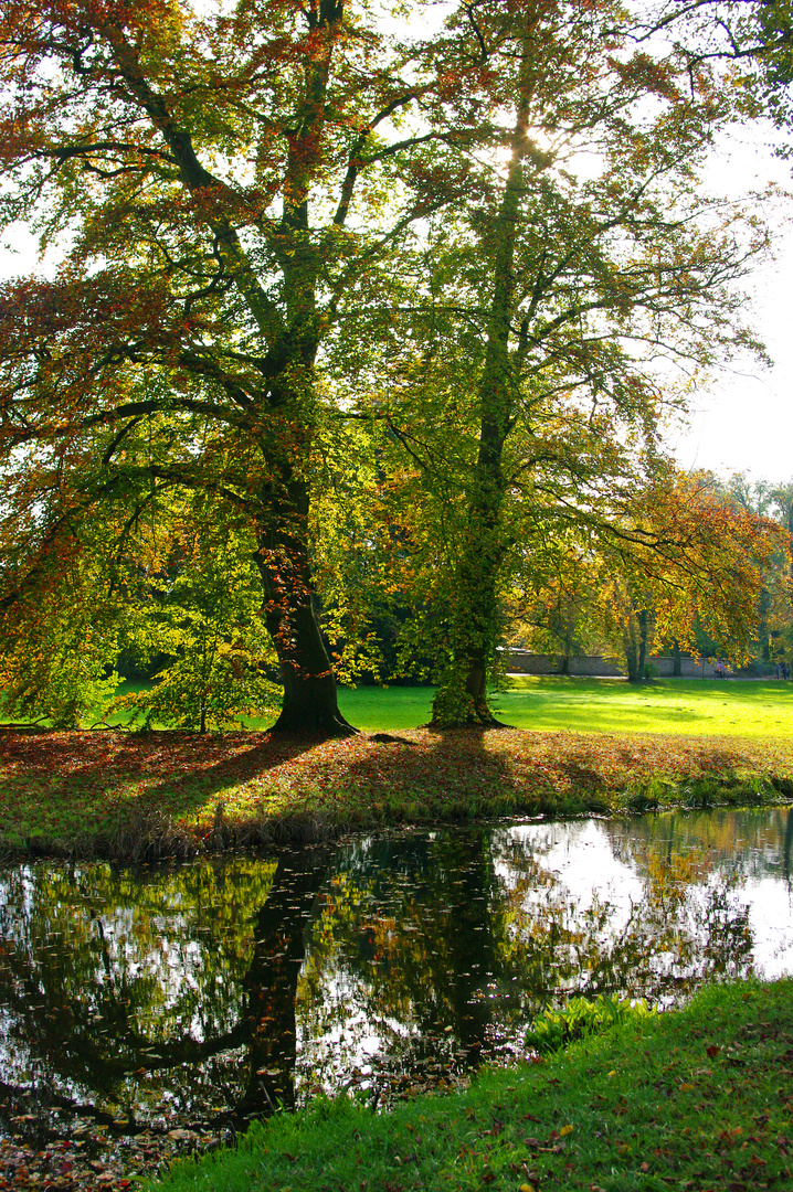 Herbst im Park von Sanssouci