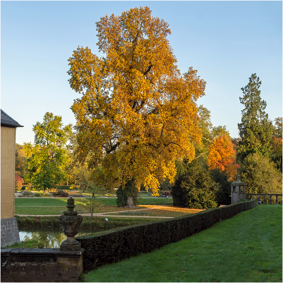 Herbst im Park von Schloss Dyck (1)