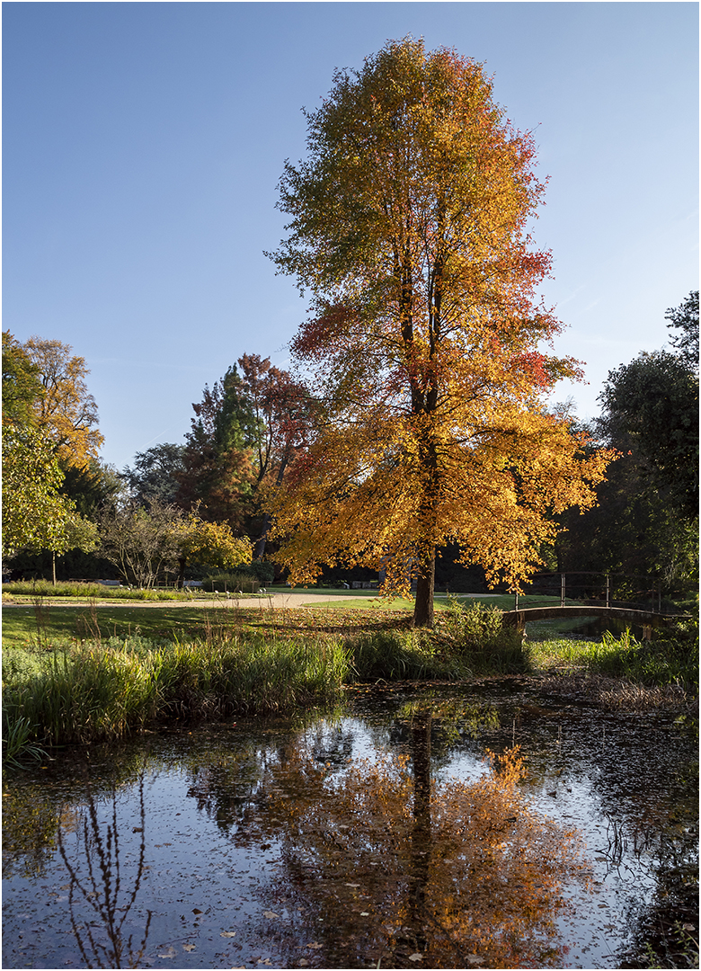 Herbst im Park von Schloss Dyck (2)