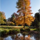 Herbst im Park von Schloss Dyck (2)