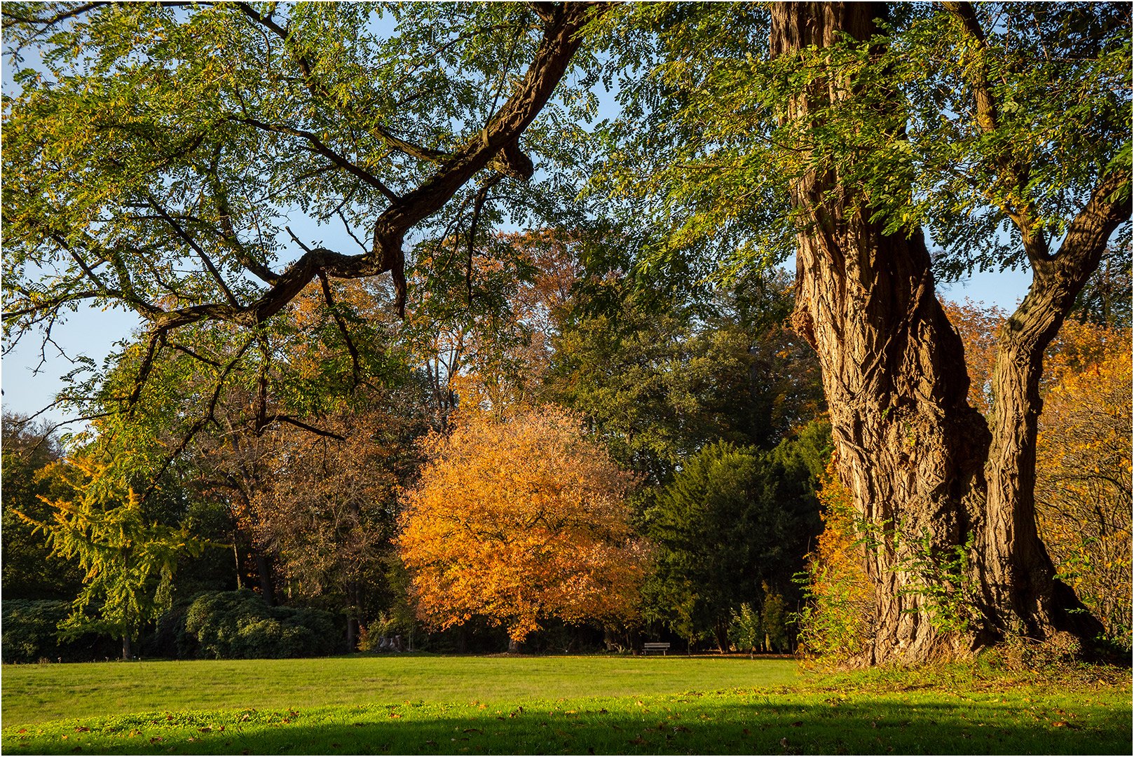 Herbst im Park von Schloss Dyck (3)