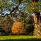 Herbst im Park von Schloss Dyck (3)