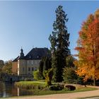 Herbst im Park von Schloss Dyck (4)