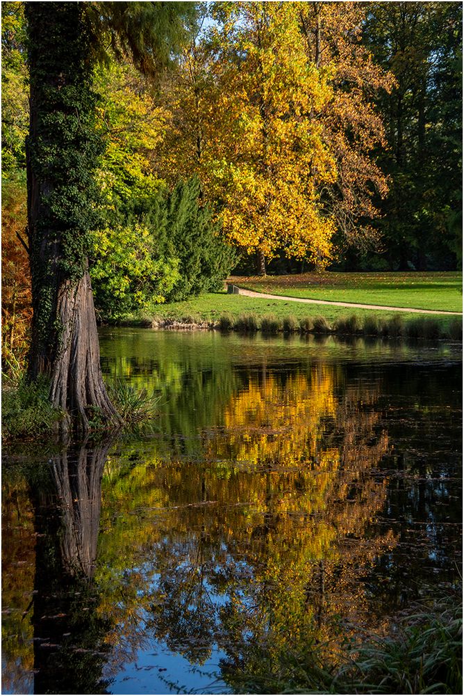 Herbst im Park von Schloss Dyck (5)