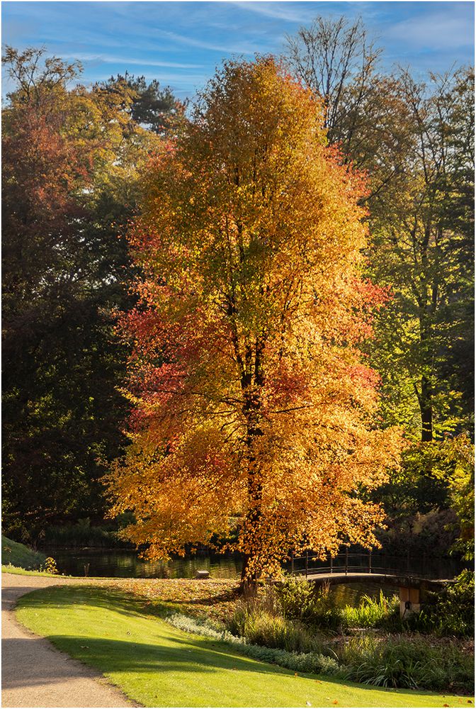 Herbst im Park von Schloss Dyck