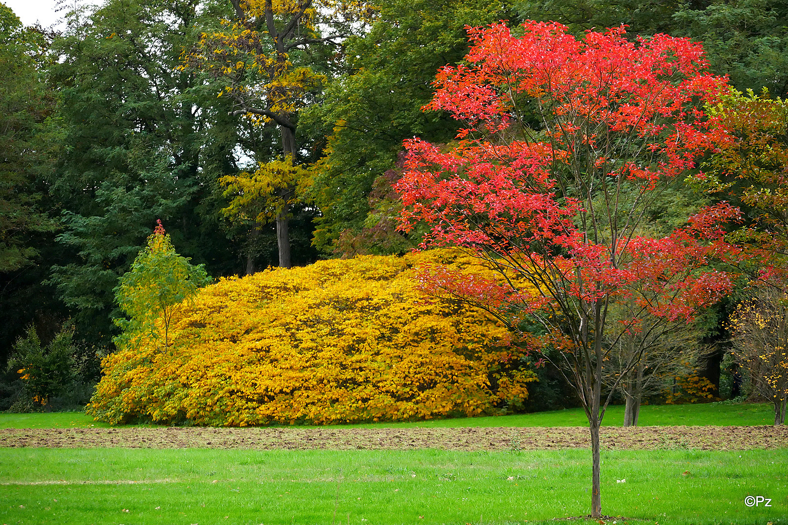 Herbst im Park von Schloss Dyck (Jüchen) ...