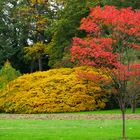 Herbst im Park von Schloss Dyck (Jüchen) ...