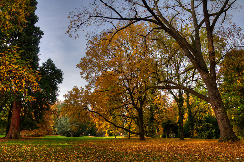 Herbst im Park von Schloss Dyk