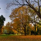 Herbst im Park von Schloss Dyk