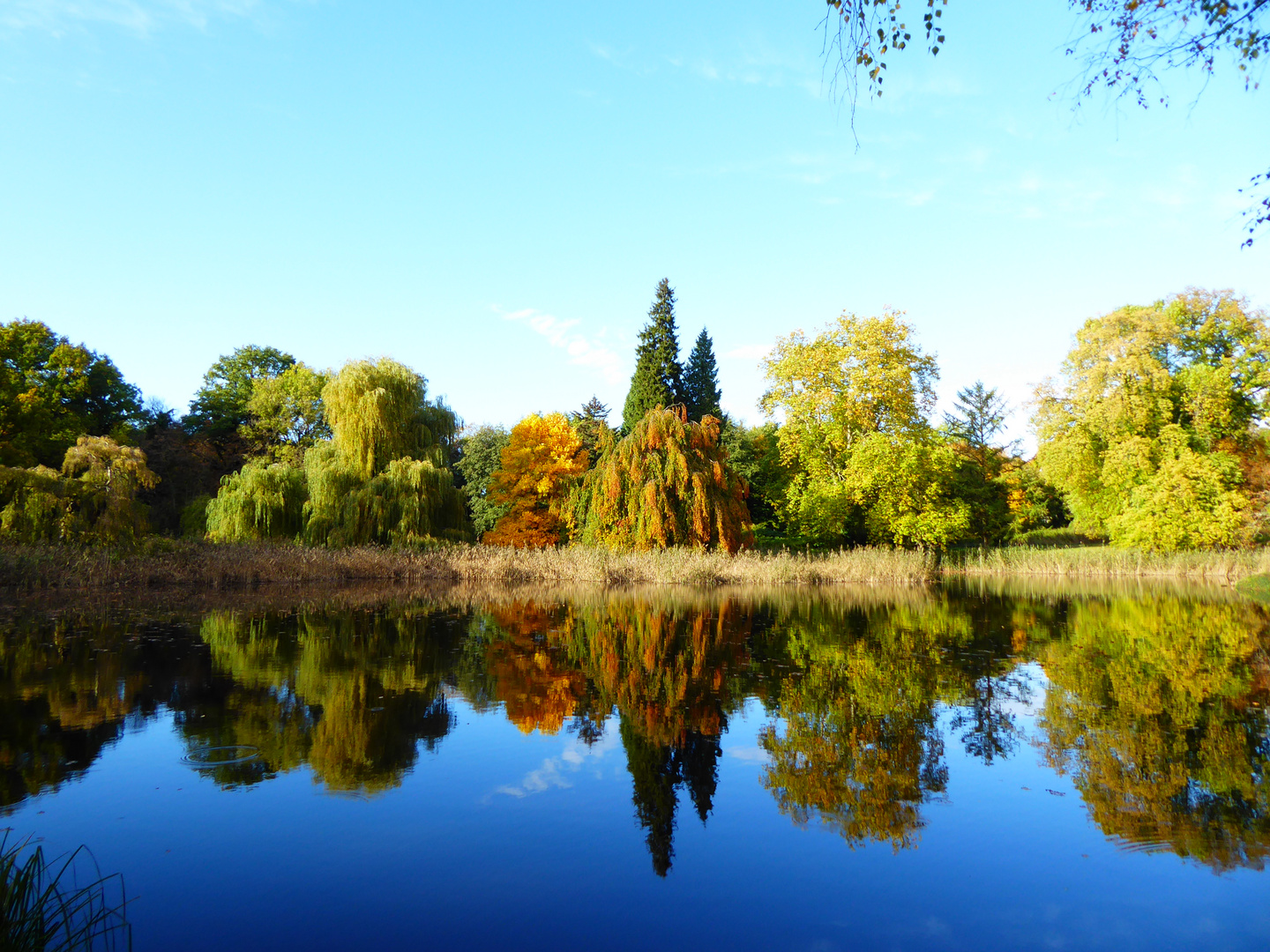 Herbst im Park Wiesenburg 2