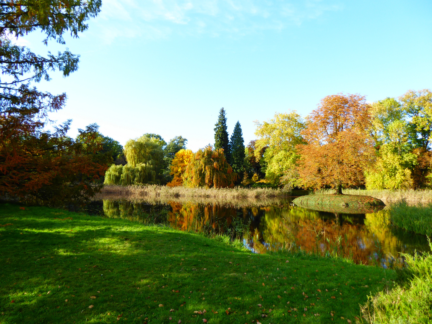 Herbst im Park Wiesenburg 3