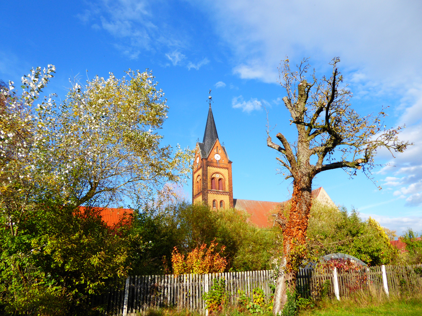 Herbst im Park Wiesenburg 5