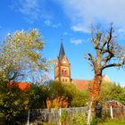 Herbst im Park Wiesenburg 5