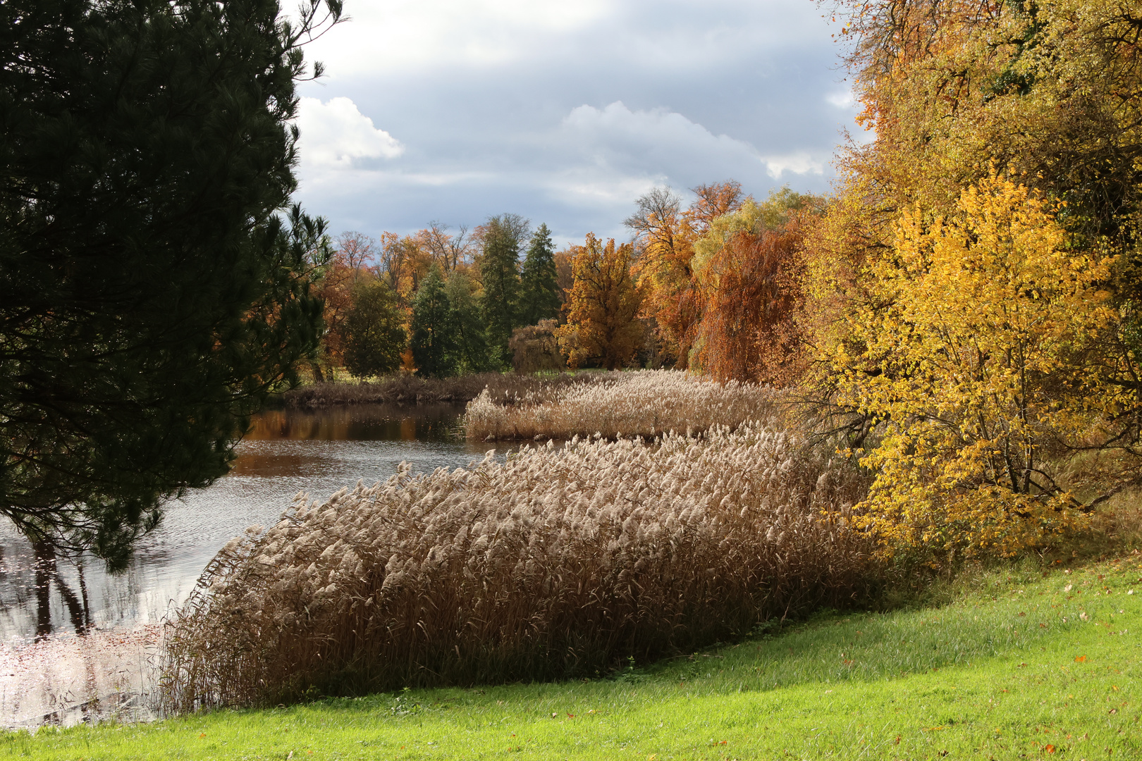 Herbst im Park zum ersten