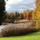 Herbst im Park zum ersten