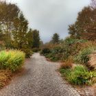 Herbst im Park_1