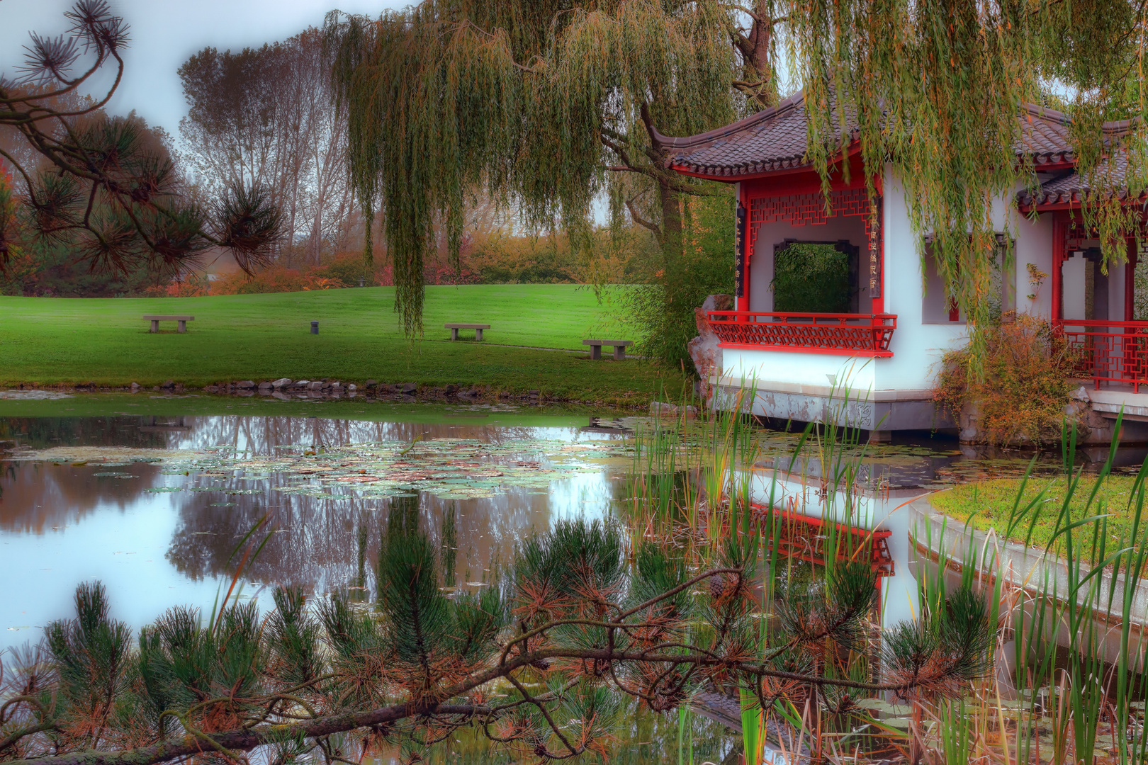 Herbst im Park_4