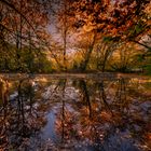 Herbst im Pasinger Stadtpark