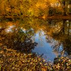 Herbst im Pasinger Stadtpark