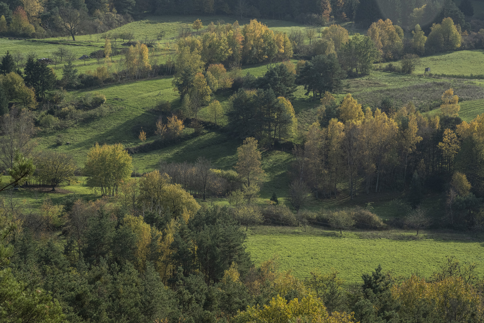 Herbst im Pfälzer Wald-001