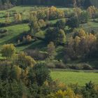 Herbst im Pfälzer Wald-001