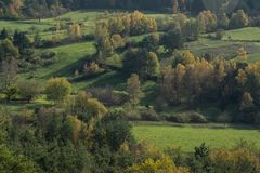 Herbst im Pfälzer Wald-001