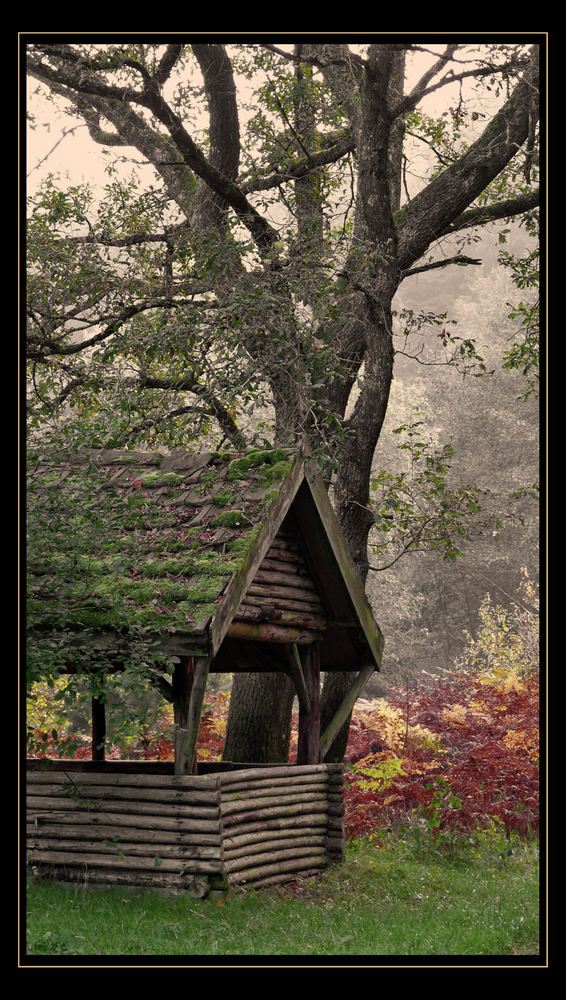 Herbst im Pfälzer Wald 7