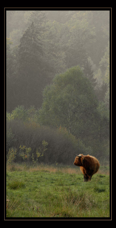 Herbst im Pfälzer Wald 9