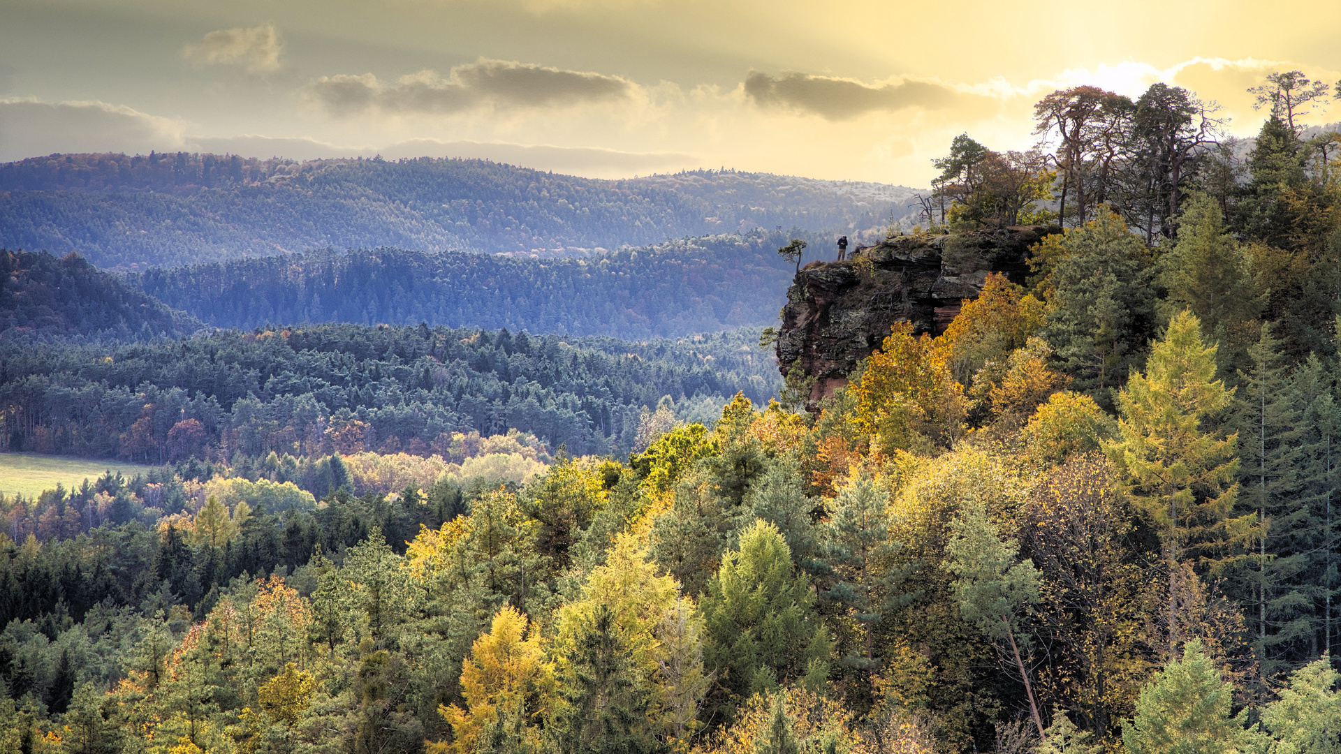 Herbst im Pfälzer Wald bei Dahn