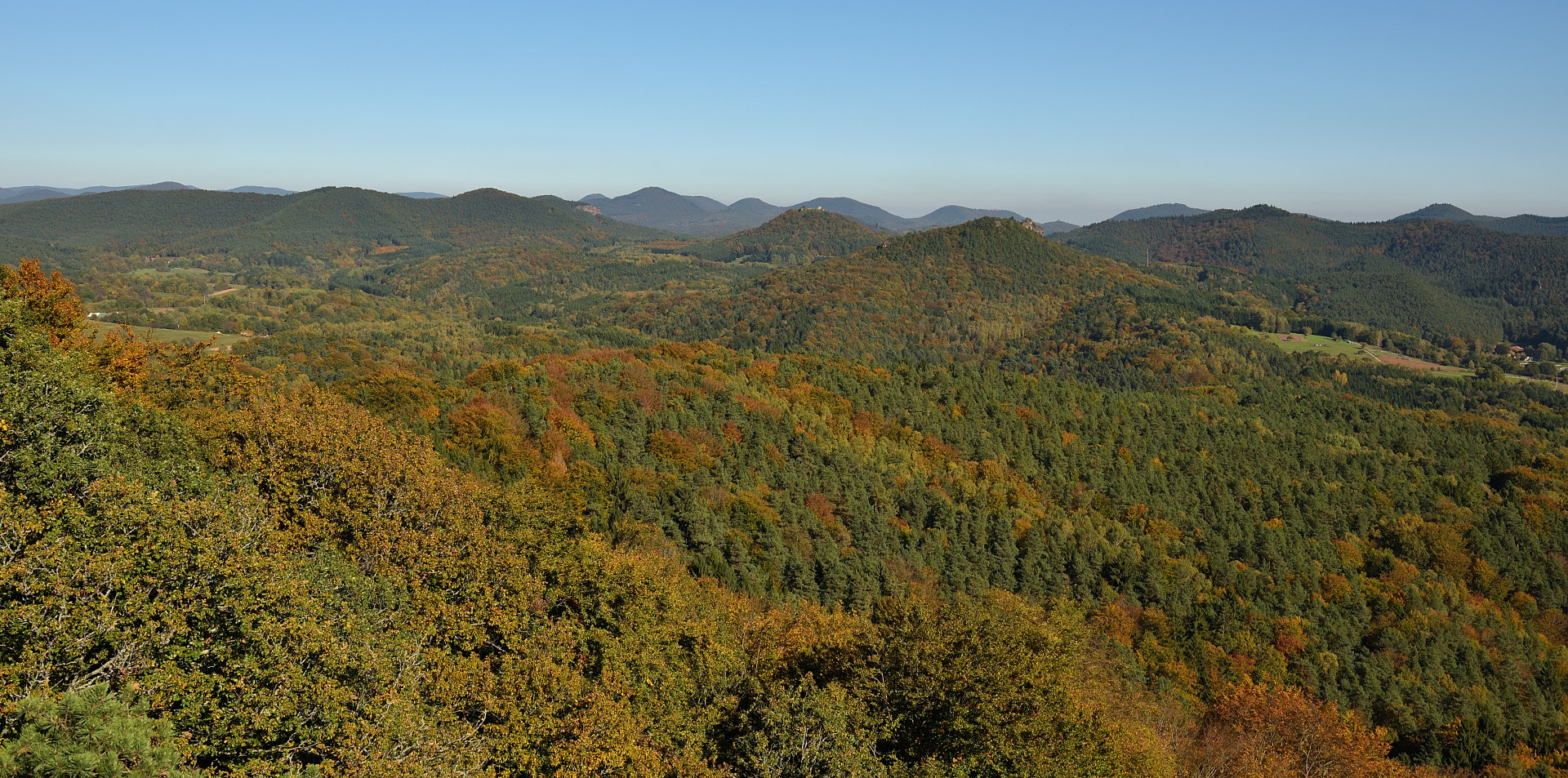 Herbst im Pfälzer Wald. Die Aussicht vom Buhlsteinpfeiler ist ...