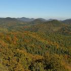 Herbst im Pfälzer Wald. Die Aussicht vom Buhlsteinpfeiler ist beeindruckend.